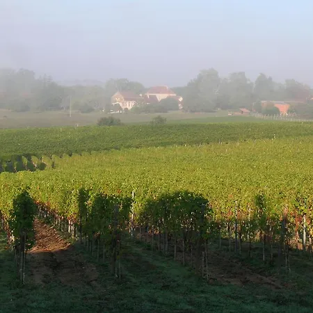 Appartement Domaine Bellevue En Périgord - Bergerac 5mn - Parc 3ha - Calme - Parking Privé Gratuit - Linge Maison Inclus Lembras
